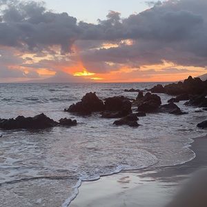 Meet your Posher, Audrey